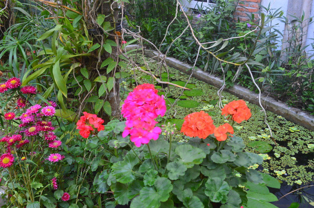 The Hoi An Orchid Garden Villas Exterior photo