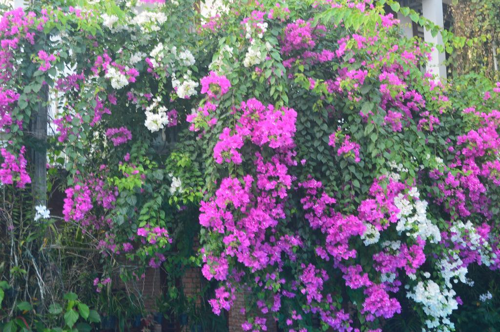 The Hoi An Orchid Garden Villas Exterior photo